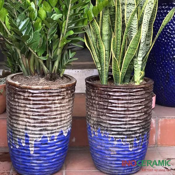 Chậu Men Trụ Tròn Vân Gợn Sóng