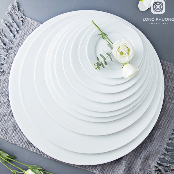 Đĩa Bằng Trắng Long Phương - anh chi tiet 2