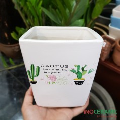 Chậu Vuông Vát In Mini