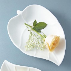 Đĩa Hình Chiếc Lá Long Phương