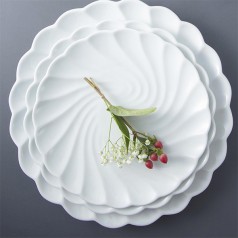 Đĩa Xoắn Bô Đê Long Phương