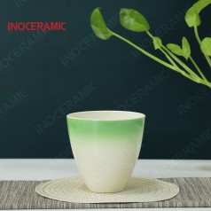 Ly Bầu Không Quai Xanh ( Omber)